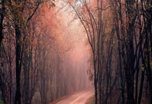 江南体育:意媒:特奥因小腿伤势缺席法国国家队训练,周三有望恢复正常训练.