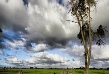 欧洲联赛:曼联和托特纳姆打进16强.