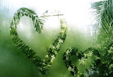 杭州亚残运会|从广州到杭州 梦延续、向未来新华网.