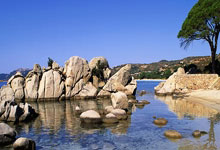 章丘双语学校:以排球为媒 构建“五育融合”育人新高地.